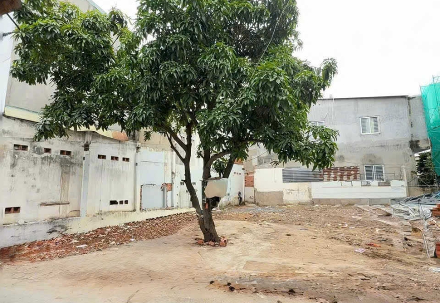 Bán đất hẻm xe hơi Quận 7 - qua Phú Mỹ Hưng 2Phút - Xây dựng tự do