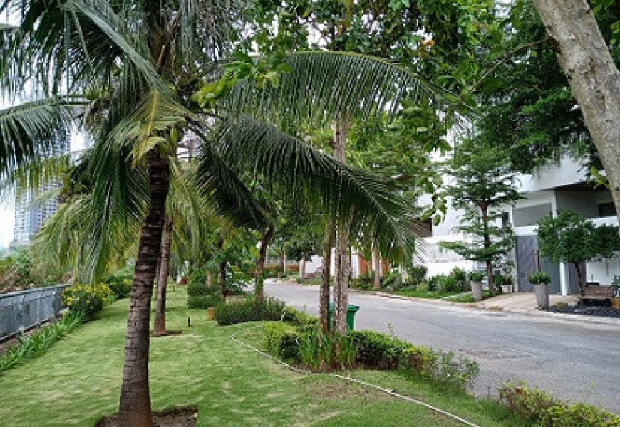 BÁN NỀN BIỆT THỰ 200M2, MẶT SÔNG CẢ CẤM, KHU EVERICH 3, ĐỐI DIỆN PHÚ MỸ HƯNG, Q7