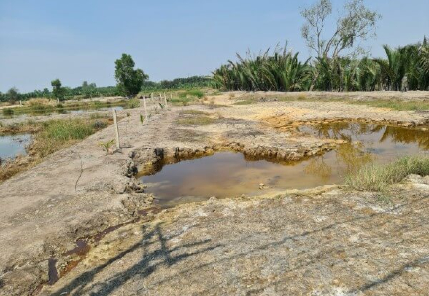 LÔ NÀY Ở XÃ BÌNH KHÁNH, CÓ 30M MT ĐƯỜNG HÀ QUANG VÓC VÀ PHÍA SAU CÓ 2 MẶT SÔNG BAO QUANH ĐẤT