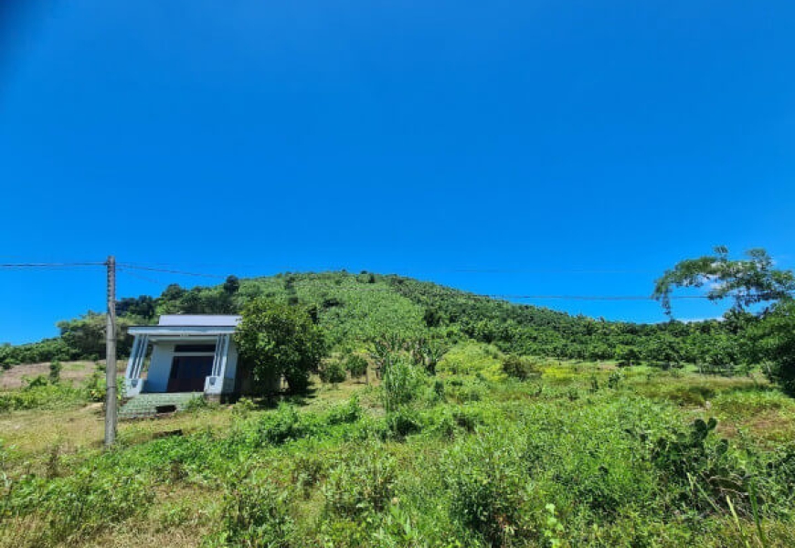GIÁ CHỈ 8 TỶ - BÁN 12.356 M2 ĐẤT CÓ 300M² THỔ CƯ XÂY DỰNG TỰ DO TRÊN ĐẤT, CÁCH QL20 CHỈ 1 KM..XÃ LA NGÀ,ĐỊNH QUÁN,ĐỒNG NAI