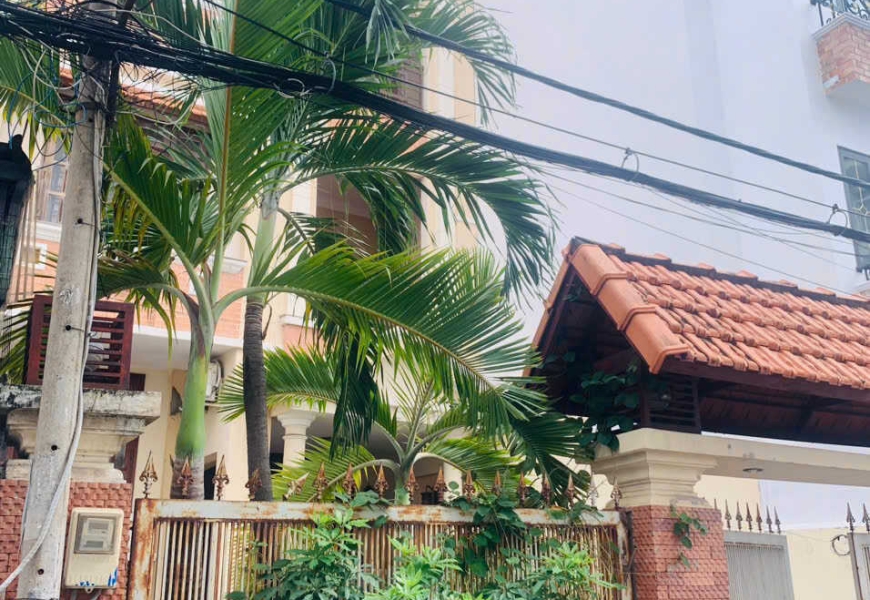 Bán Biệt Thự Đường Số Tân Quy Quận 7