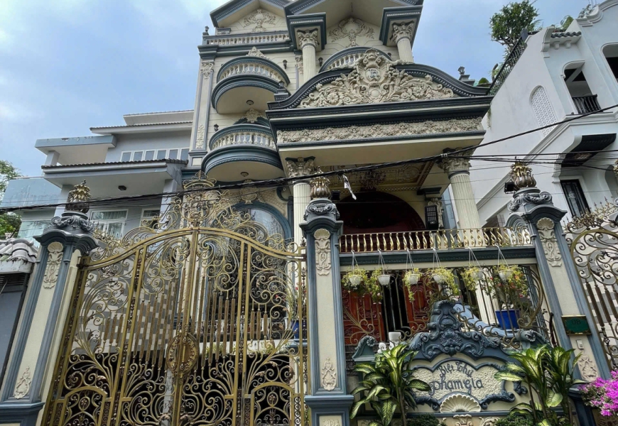 Biệt thự KDC Tân Quy Đông, P. Tân Phong