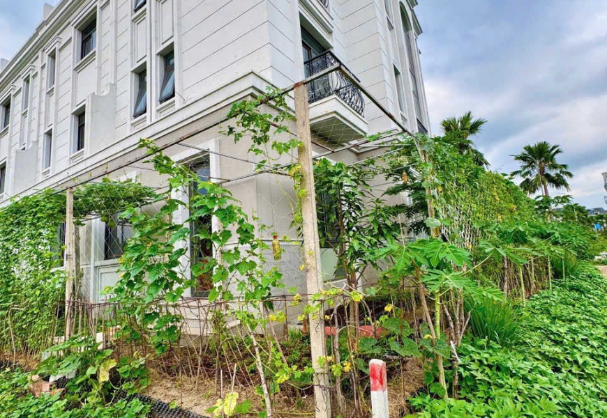 Bán biệt thự khu Compoud Amelie Villa CĐT Phú Mỹ Hưng,Nhà Bè