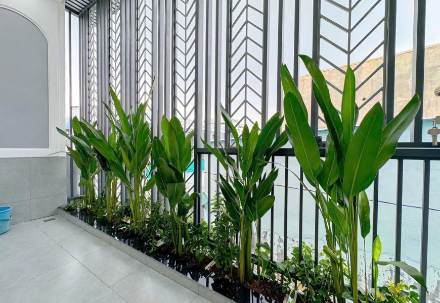 Bán nhà hẻm xe ba gác 2m-3m cách đường chính TXS 150m . 861/18/ Trần Xuân Soạn - Tân Hưng . Q7