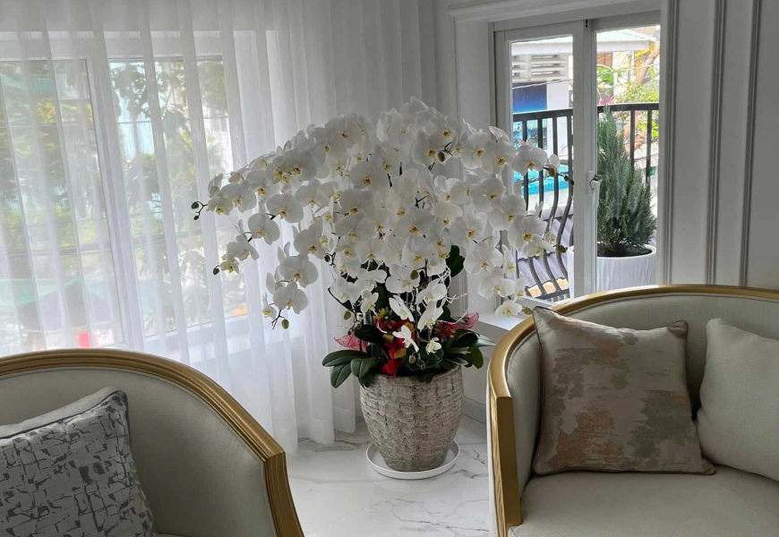 0909227199 Biệt thự MT Trần Thị Liền- Khu Làng Đại Học ACB Gần Trường Tôn Đức Thắng Lotte Q7