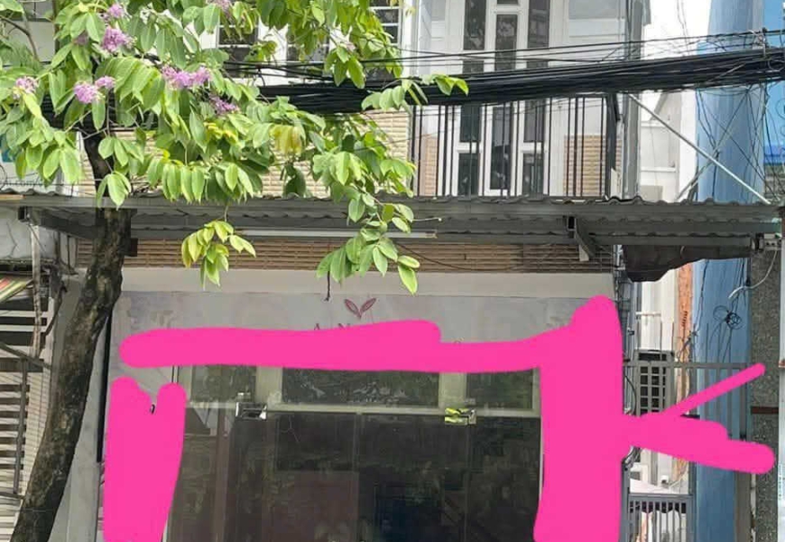 Cho thuê nhà mặt tiền đường số Tân Quy.Quận 7
