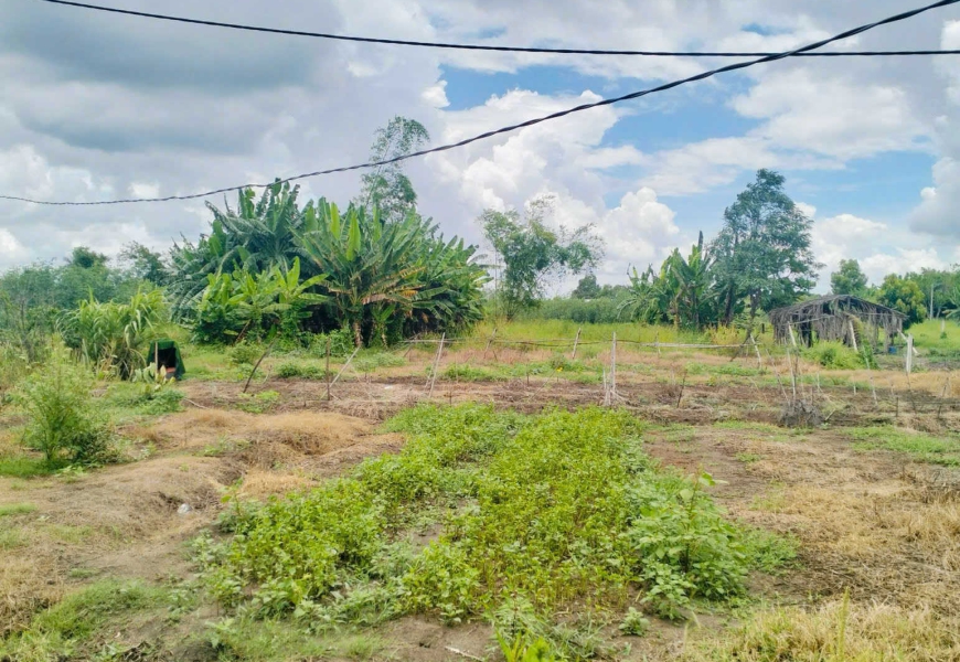 Bán Đất Đường Quốc Lộ 50 ,Thị Trấn An Lạc, Bình Chánh