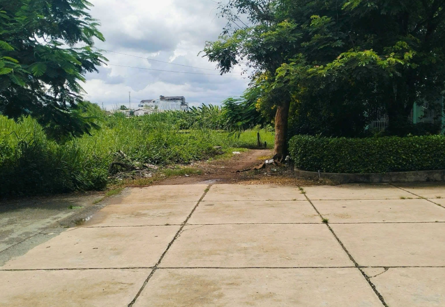 Bán Đất Đường Quốc Lộ 50 ,Thị Trấn An Lạc, Bình Chánh