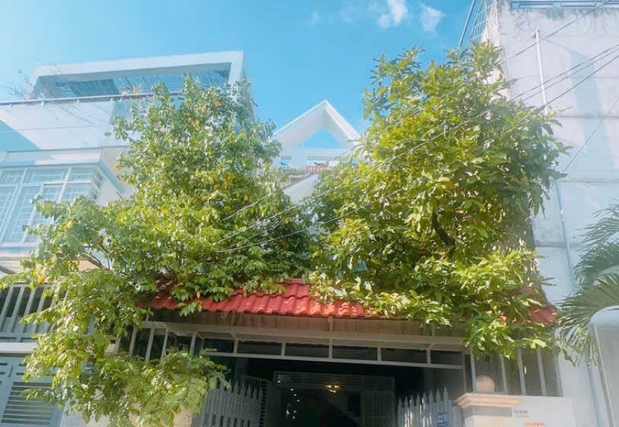 Bán hoặc cho thuê nhà - Đào Sư Tích - Phước Lộc  Hẻm xe tải 6m, khu an ninh yên tĩnh, dân trí cao. Cách sông Đào Sư Tích 70m