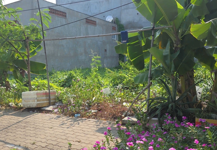 Bán lô đất xã Long Hậu, huyện Cần Giuộc tỉnh Long An