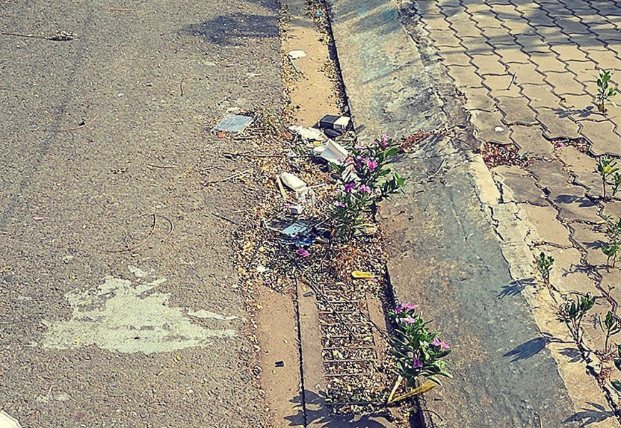 Bán lô đất xã Long Hậu, huyện Cần Giuộc tỉnh Long An