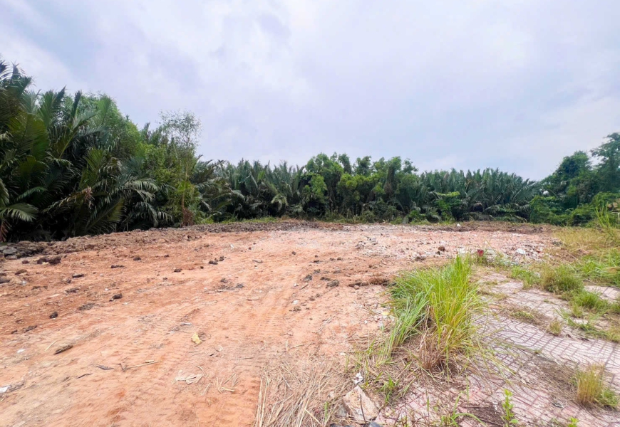 CHO THUÊ 1000M ĐẤT TRONG ĐÓ CÓ 255M THỔ CƯ  - VỊ TRÍ NẰM TRÊN MẶT TIỀN 40M. KẾ BÊN ỦY BAN XÃ NHƠN ĐỨC, CÁC TRƯỜNG ĐẠI HỌC