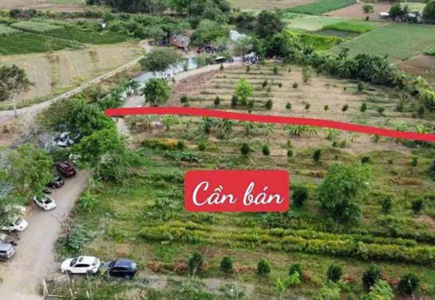 Đất Vườn View Suối Tự Nhiên 2.500m2 - Giá Chỉ 1.5 Tỷ