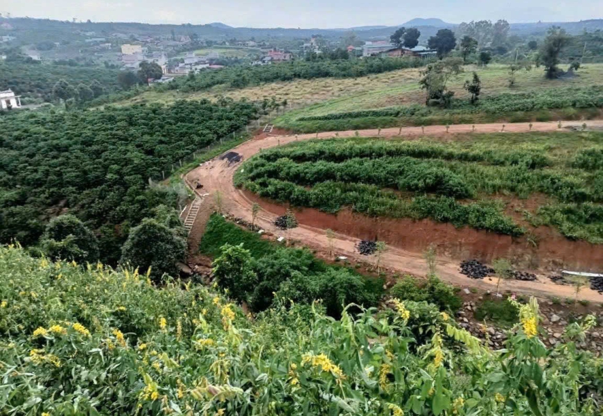 Giảm 6 tỷ cần bán nhanh..còn 17tỷ BÁN LÔ ĐẤT 27.000m SINH THÁI LÂM ĐỒNG - CÓ SUỐI, HẠ TẦNG HOÀN CHỈNH - PHONG THUỶ CỰC TỐT  Xã Ninh Gia, huyện Đức Trọng, Lâm Đồng