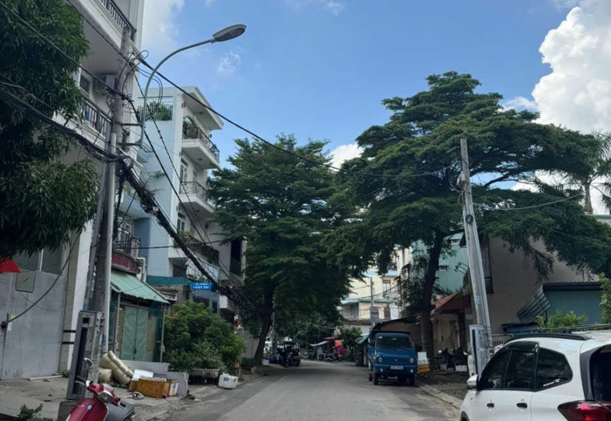 Cho thuê nhà nguyên căn Đường số p Tân quy