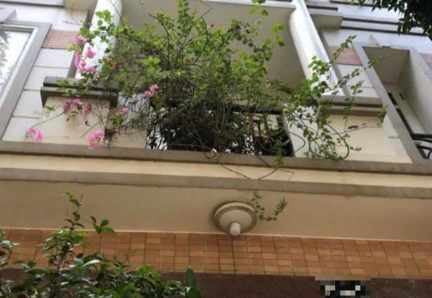 Bán nhà Mặt Tiền đường số p.Tân Phong Quận 7, HCM
