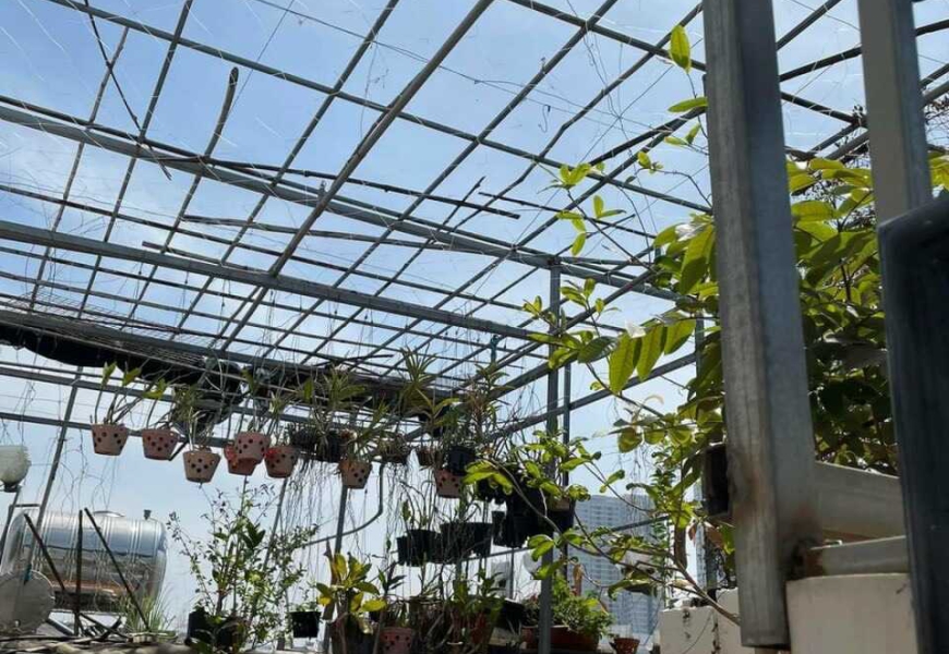 Bán Nhà Đẹp Hẻm 861 Trần Xuân Soạn, P. Tân Hưng, Quận 7
