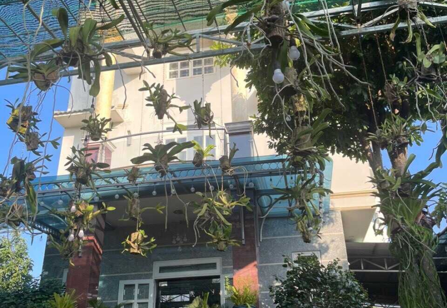 0909227199 Bán biệt thự vườn cao cấp mặt tiền Đào Sư Tích 1 lửng 4 lầu - 1583m² (100% thổ cư) 