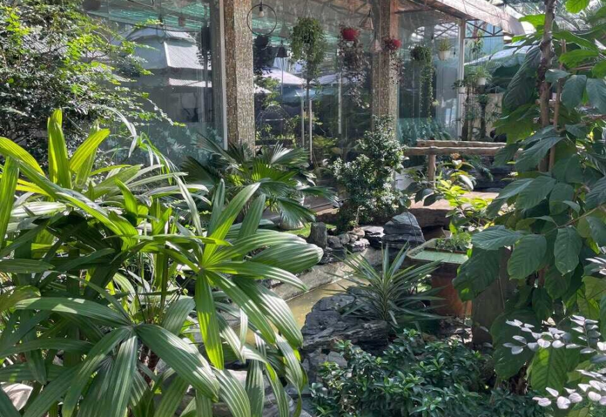 0909227199 Bán biệt thự vườn cao cấp mặt tiền Đào Sư Tích 1 lửng 4 lầu - 1583m² (100% thổ cư) 