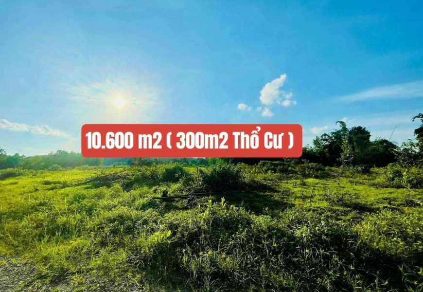 Hơn 1,1 Ha Đất View Suối Đồng Nai - Giá Chỉ 4.5 Tỷ Còn TL