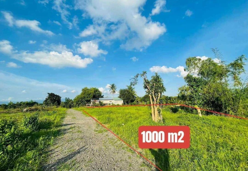 Hơn 1,1 Ha Đất View Suối Đồng Nai - Giá Chỉ 4.5 Tỷ Còn TL
