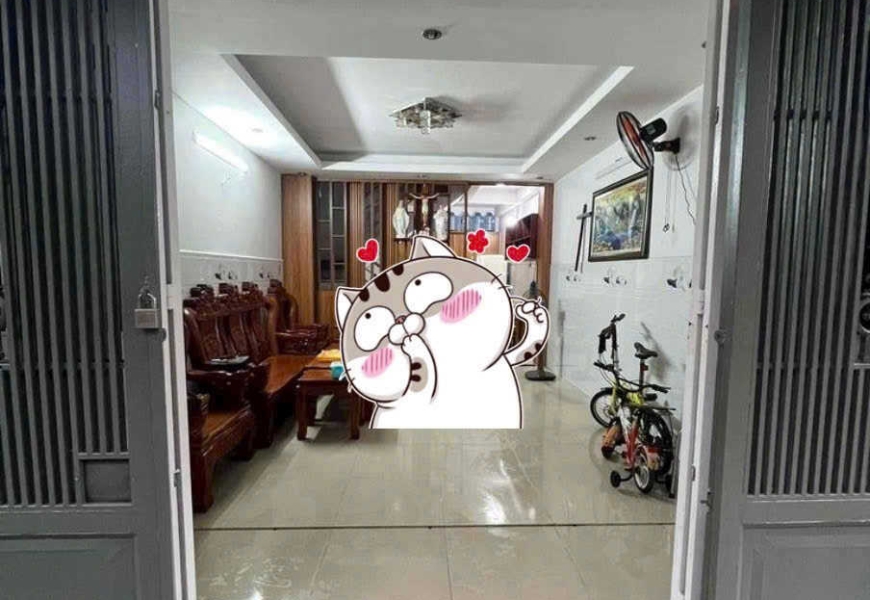 Cho thuê nhà hẻm 4m p tân quy quận 7