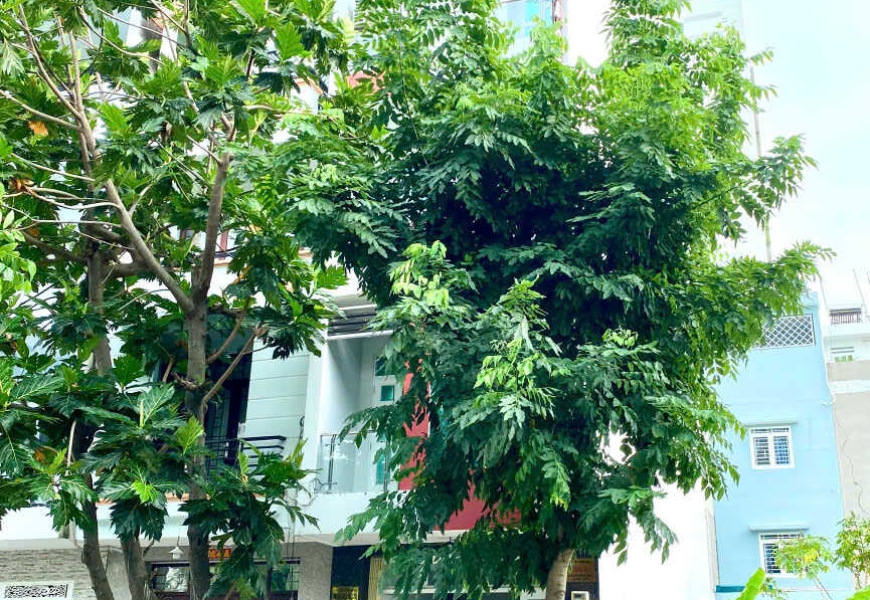 0909227199 Bán Khách sạn đang kinh doanh tấp nập, thu nhập ổn định Khu Dân Cư Phú Mỹ Phạm Hữu Lầu Q7