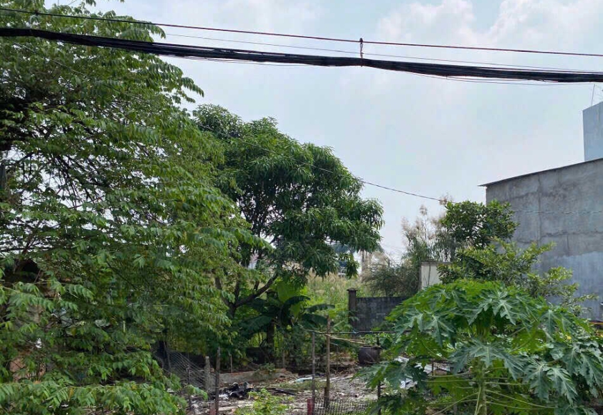 0909227199 CẦN BÁN GẤP ĐẤT - KHU DÂN CƯ HIỆN HỮU 274 đường Nguyễn Văn Tạo, xã Long Thới, huyện Nhà Bè
