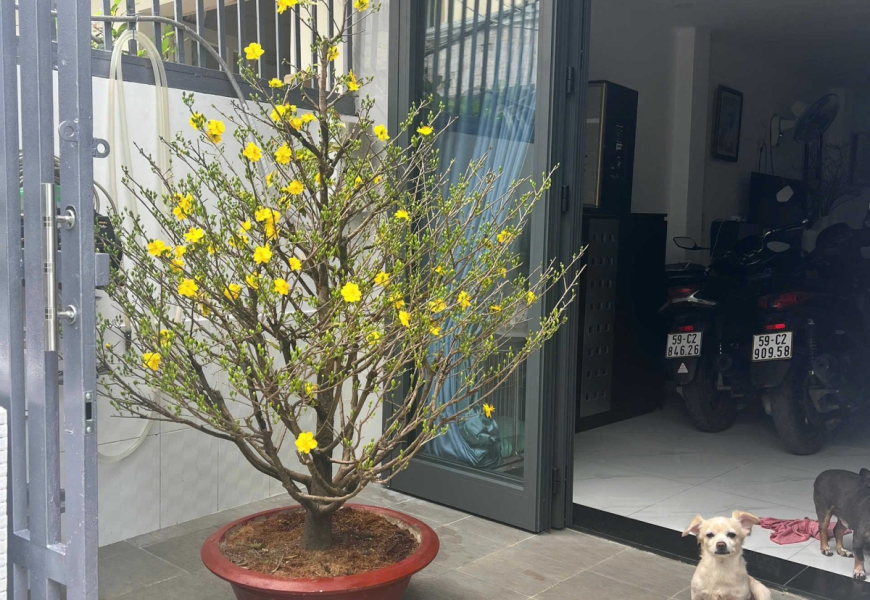 Bán Nhà Hẻm 1716 Huỳnh Tấn Phát Nhà bè, Ngay Chợ Phú Xuân